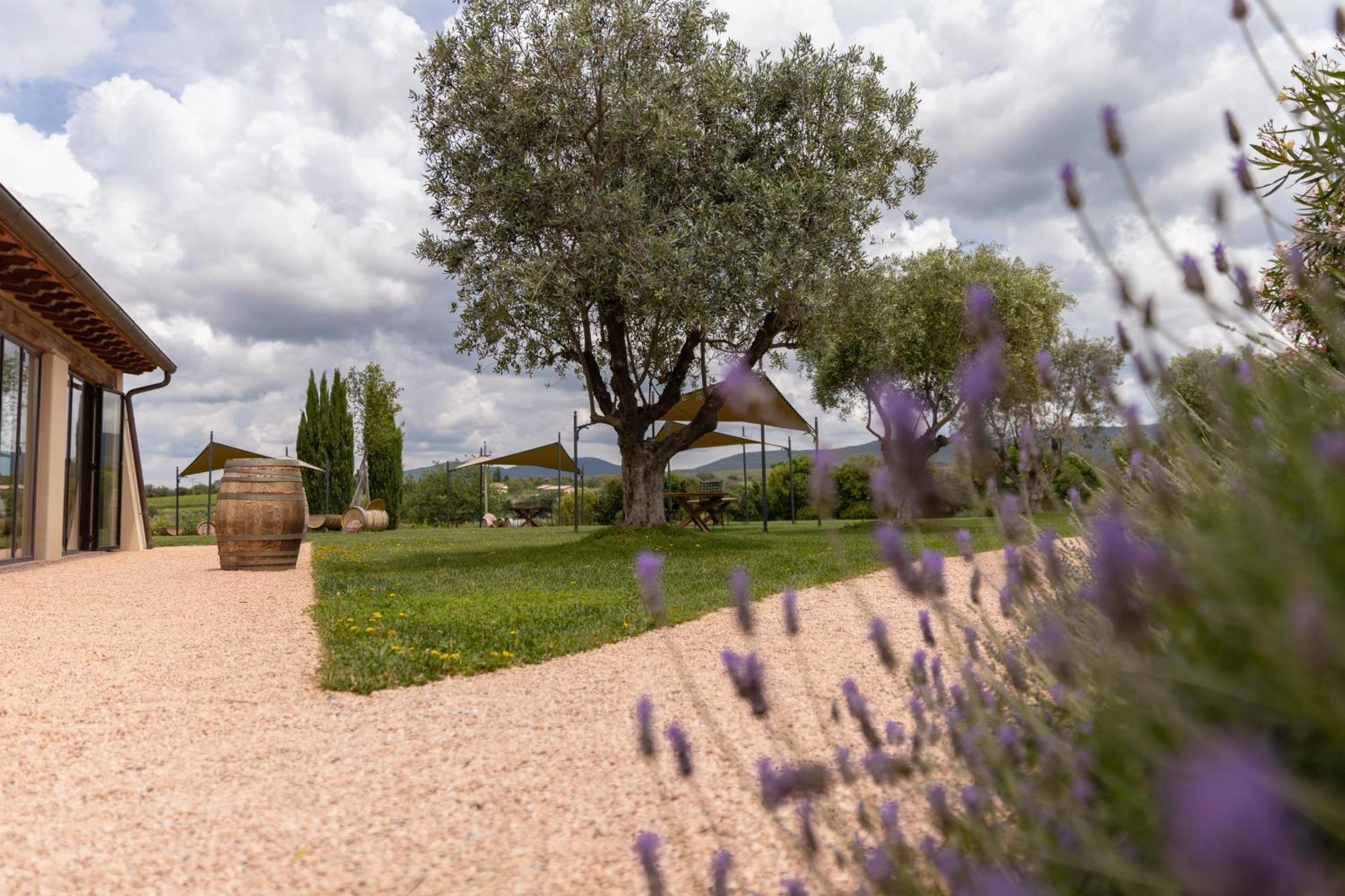 Locanda Dell'Aioncino Bibbona Kültér fotó